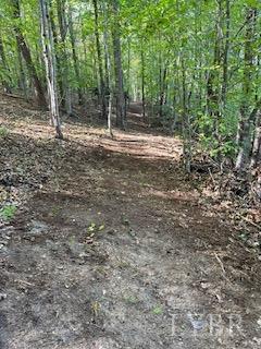3200 Tobacco Rd, Nathalie, VA 24577