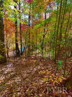 3200 Tobacco Rd, Nathalie, VA 24577