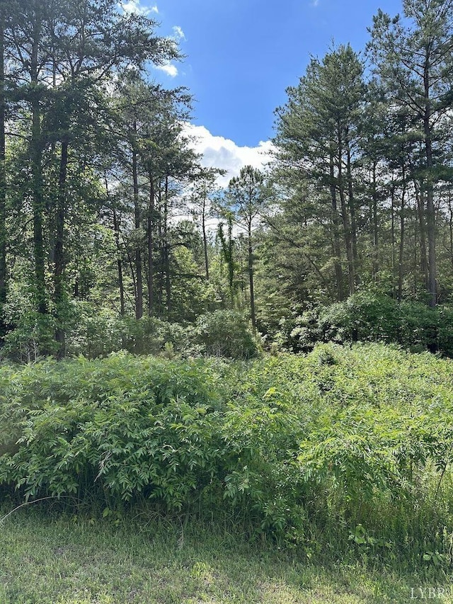 0 Flat Top Cove Rd, Gretna, VA 24557