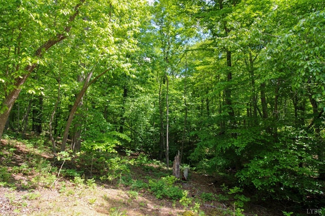872 Two Bid Rd, Evington, VA 24550 - view of landscape featuring a view of trees