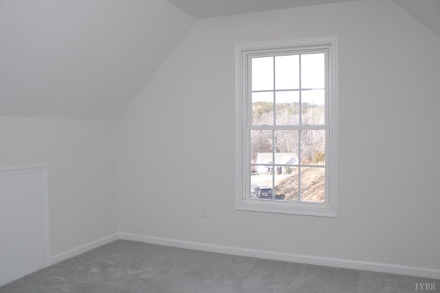 872 Two Bid Rd, Evington, VA 24550 - additional living space featuring baseboards, carpet floors, and vaulted ceiling