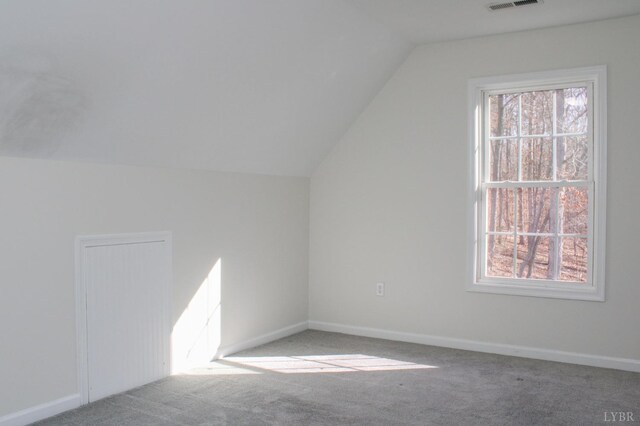 872 Two Bid Rd, Evington, VA 24550 - bonus room featuring carpet flooring, a healthy amount of sunlight, lofted ceiling, and visible vents