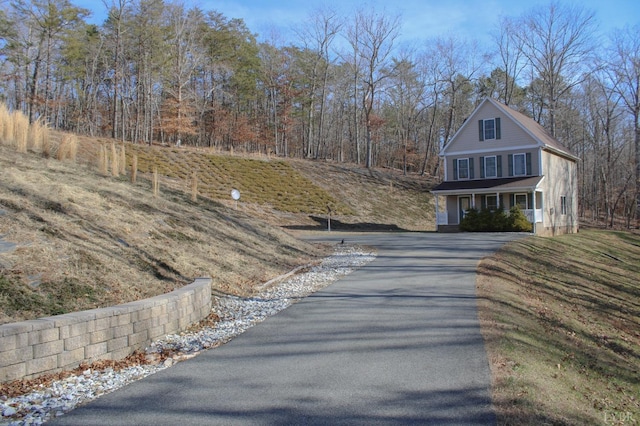 872 Two Bid Rd, Evington, VA 24550 - view of street featuring driveway