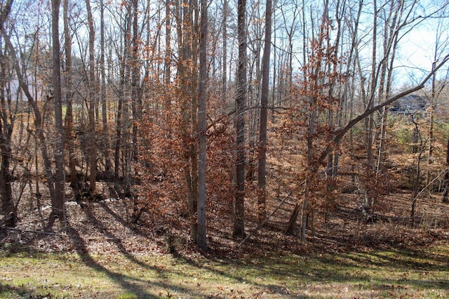 872 Two Bid Rd, Evington, VA 24550 - view of nature