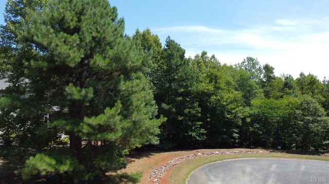 0 Hidden Cove Ln, Lynch Station, VA 24571