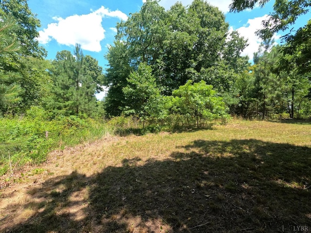 0 E Bishop Creek Rd, Lynch Station, VA 24571