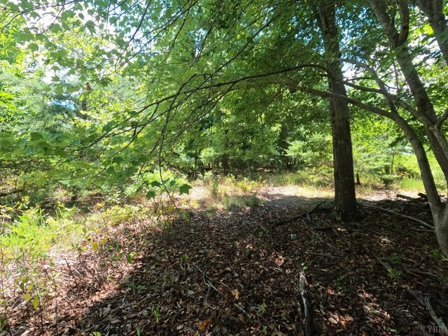0 E Bishop Creek Rd, Lynch Station, VA 24571