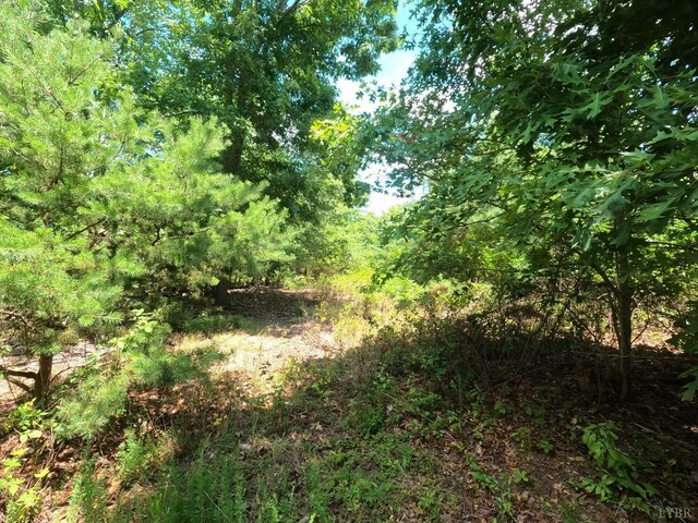 0 E Bishop Creek Rd, Lynch Station, VA 24571