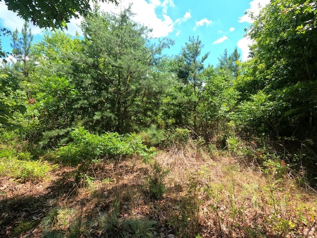 0 E Bishop Creek Rd, Lynch Station, VA 24571