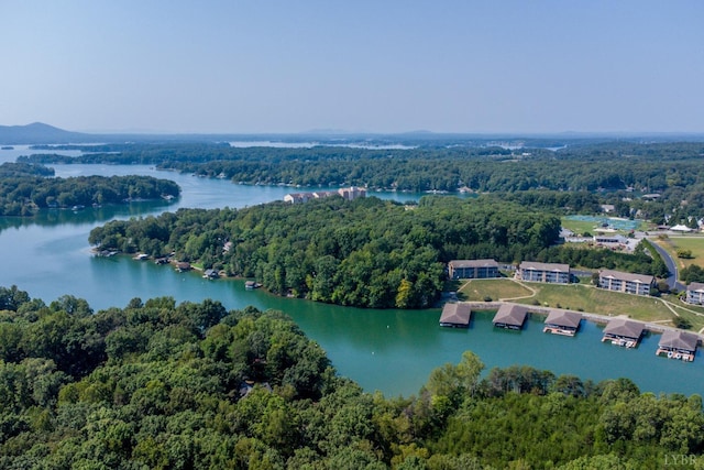 1055 Mariners Way, Huddleston, VA 24104 - aerial view of a forest and a large body of water