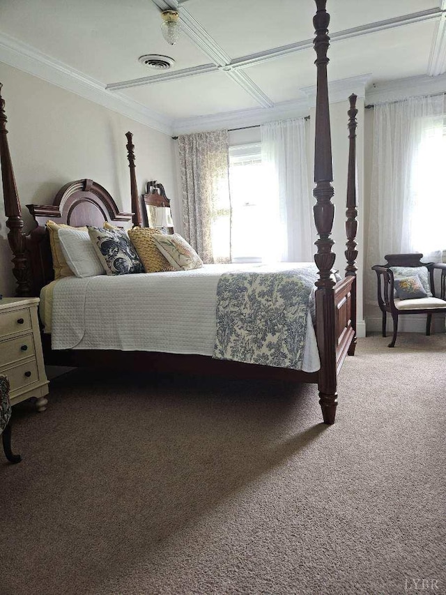 1501 Saxkey, Drakes Branch, VA 23937 - bedroom featuring multiple windows, carpet flooring, and crown molding