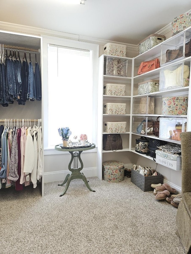 1501 Saxkey, Drakes Branch, VA 23937 - view of pantry