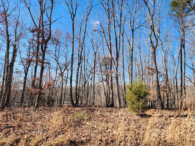 0 Earley Farm Rd, Amherst, VA 24521 - photo 2