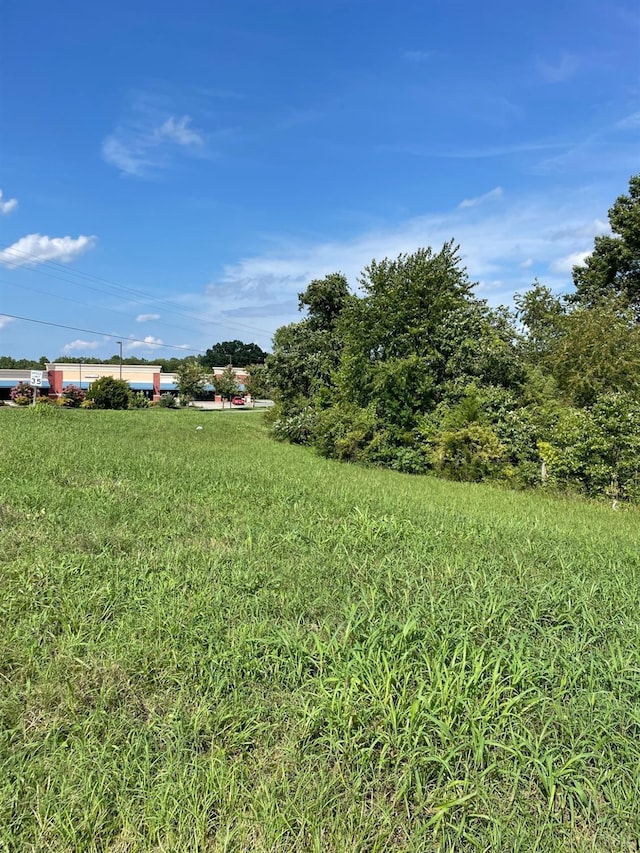 2685 Dearing Ford Rd, Altavista, VA 24517 - view of yard