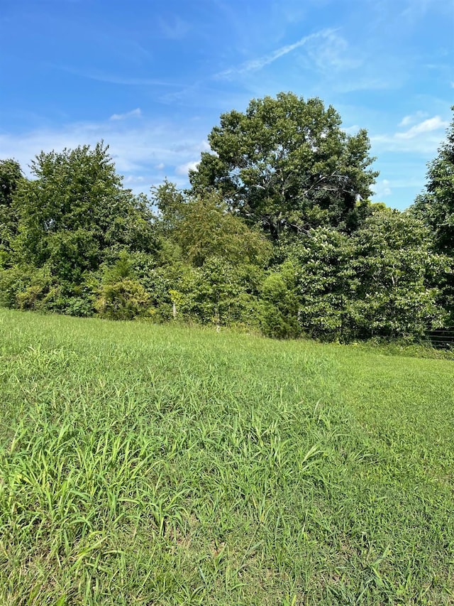 2685 Dearing Ford Rd, Altavista, VA 24517 - view of undeveloped land