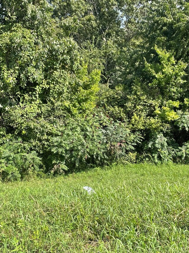 2685 Dearing Ford Rd, Altavista, VA 24517 - view of local wilderness