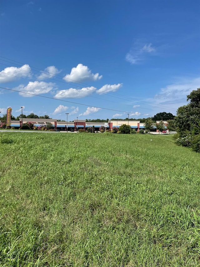2685 Dearing Ford Rd, Altavista, VA 24517 - view of yard