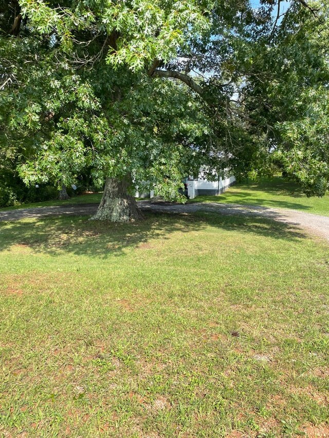 2685 Dearing Ford Rd, Altavista, VA 24517 - view of grassy yard