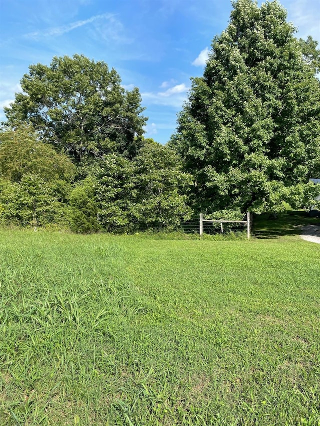 2685 Dearing Ford Rd, Altavista, VA 24517 - view of grassy yard