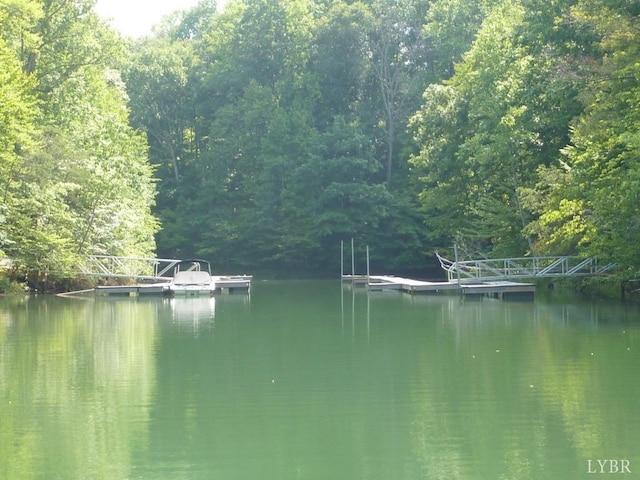 160 Thomas Ct, Lynch Station, VA 24571