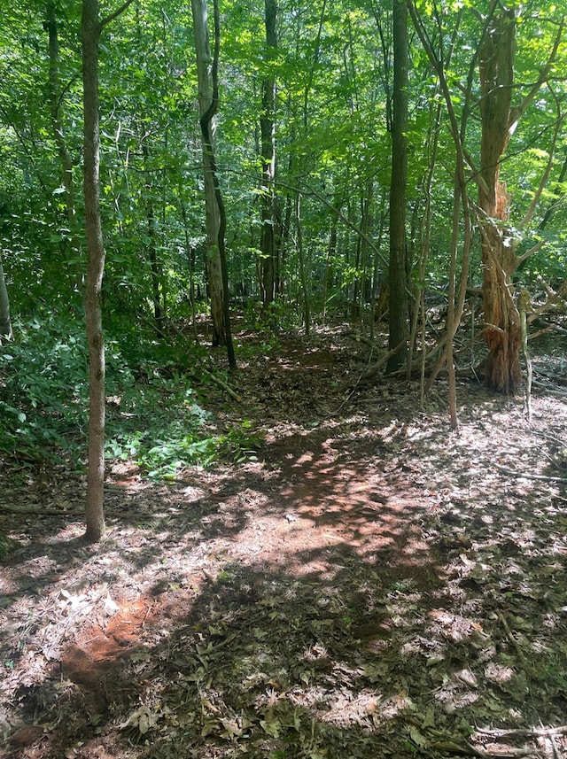 160 Thomas Ct, Lynch Station, VA 24571 - photo 24