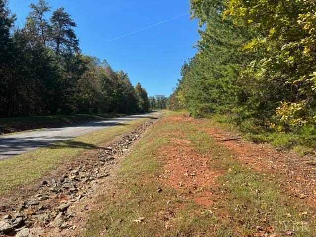 160 Thomas Ct, Lynch Station, VA 24571