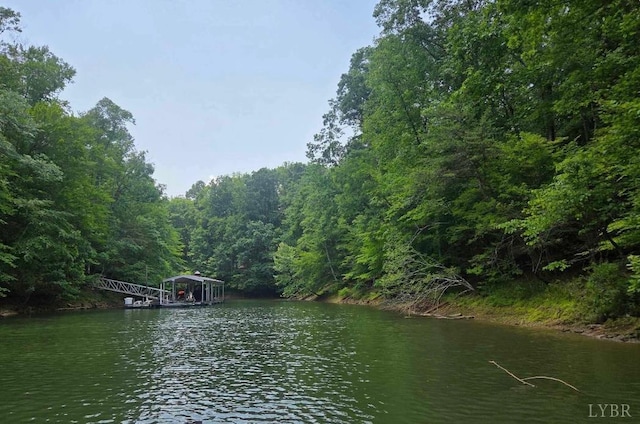 160 Thomas Ct, Lynch Station, VA 24571
