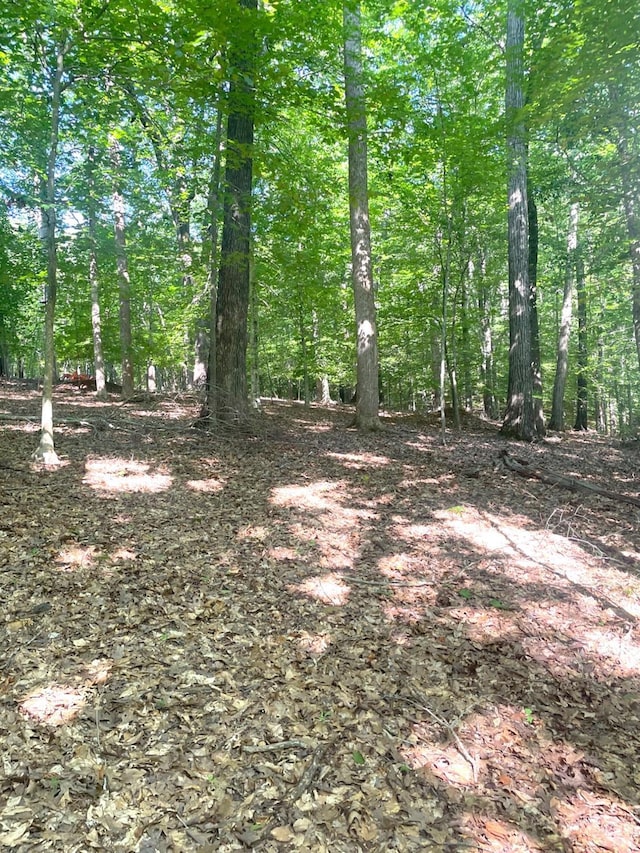160 Thomas Ct, Lynch Station, VA 24571 - photo 21