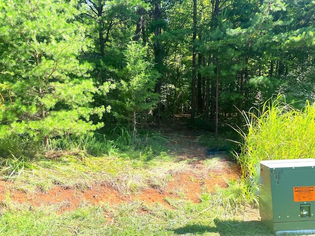 160 Thomas Ct, Lynch Station, VA 24571 - photo 7