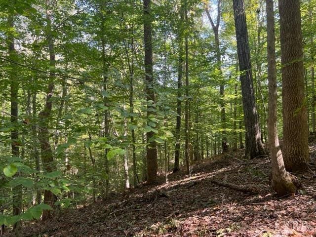 160 Thomas Ct, Lynch Station, VA 24571