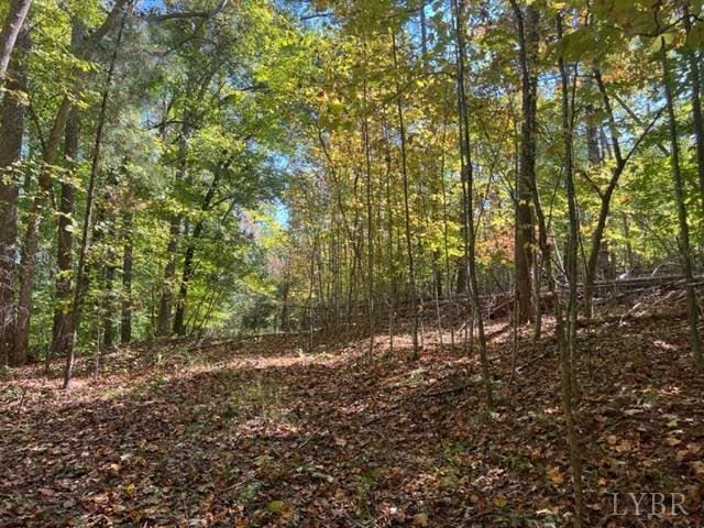 160 Thomas Ct, Lynch Station, VA 24571