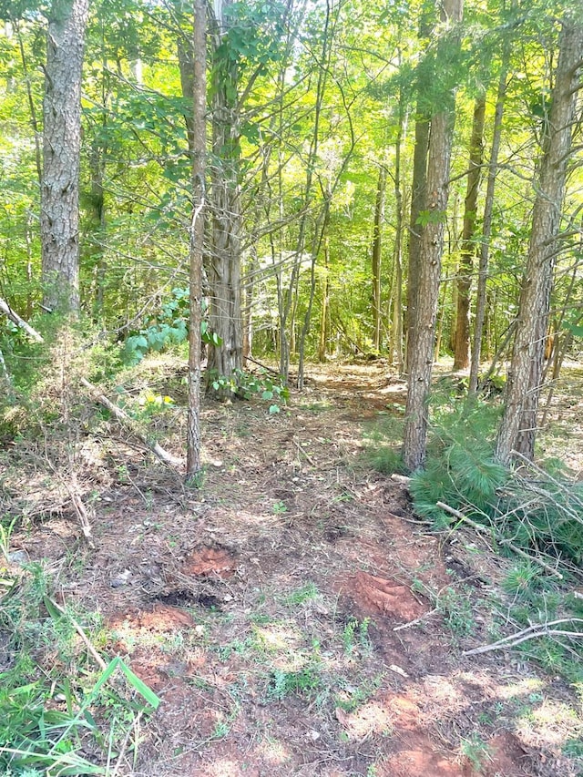 160 Thomas Ct, Lynch Station, VA 24571 - photo 22