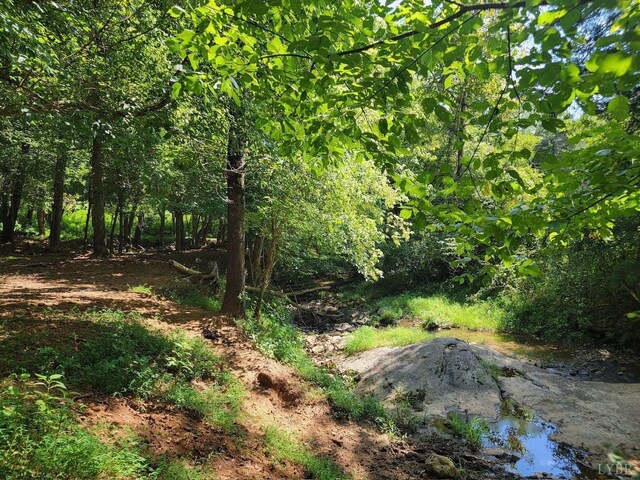 view of nature with a forest view