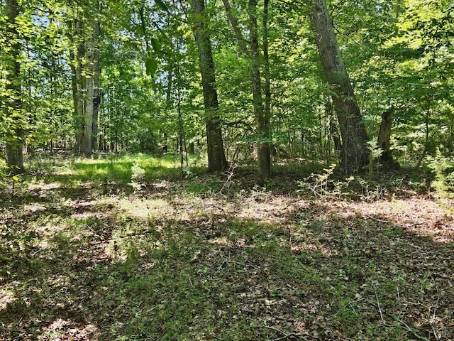 0 Gladys Rd, Altavista, VA 24517