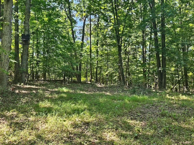 0 Gladys Rd, Altavista, VA 24517 - photo 1