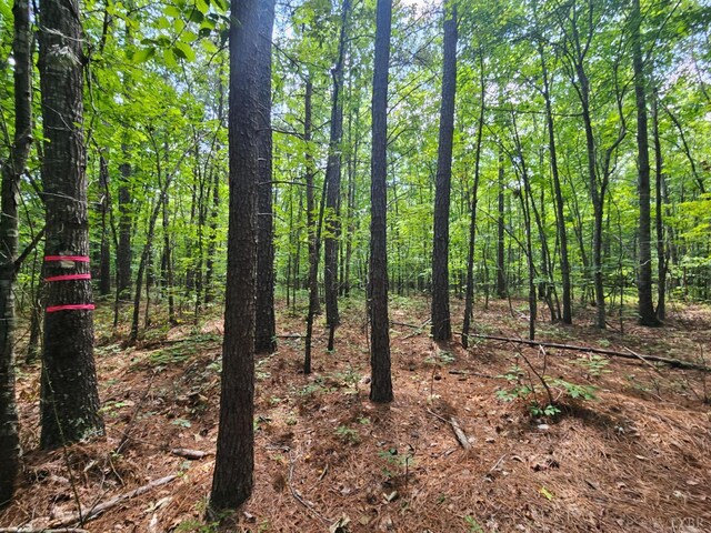 0 W James Anderson Hwy, Gladstone, VA 24553 - photo 35