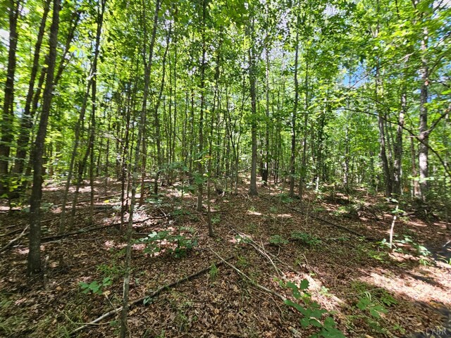 0 W James Anderson Hwy, Gladstone, VA 24553 - photo 17