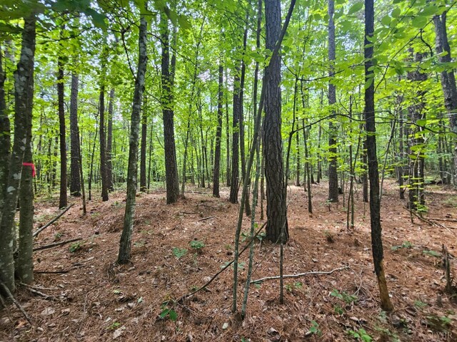 0 W James Anderson Hwy, Gladstone, VA 24553 - photo 34