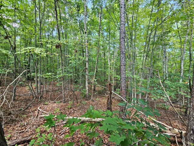 0 W James Anderson Hwy, Gladstone, VA 24553 - photo 32