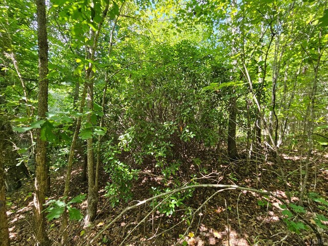 0 W James Anderson Hwy, Gladstone, VA 24553 - photo 13