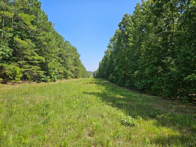 0 W James Anderson Hwy, Gladstone, VA 24553 - photo 5