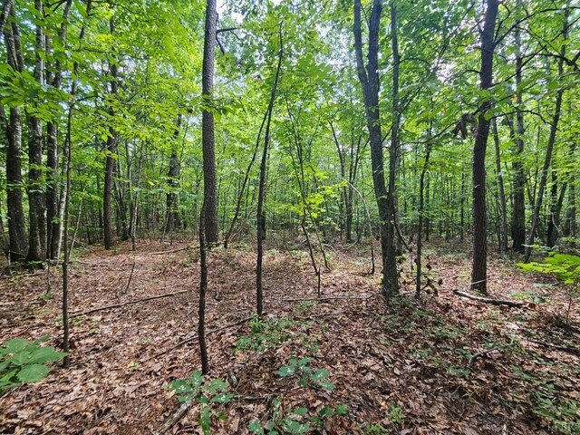 0 W James Anderson Hwy, Gladstone, VA 24553 - photo 8