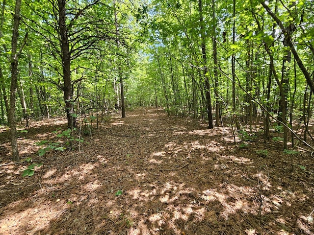 0 W James Anderson Hwy, Gladstone, VA 24553 - photo 10