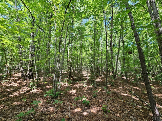 0 W James Anderson Hwy, Gladstone, VA 24553 - photo 24