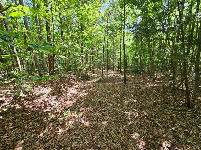 0 W James Anderson Hwy, Gladstone, VA 24553 - photo 18