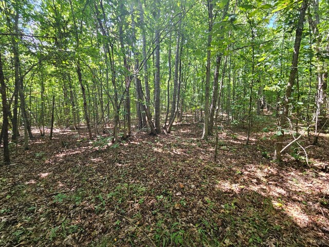 0 W James Anderson Hwy, Gladstone, VA 24553 - photo 16