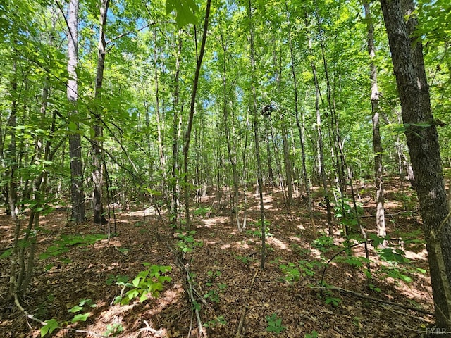 0 W James Anderson Hwy, Gladstone, VA 24553 - photo 25