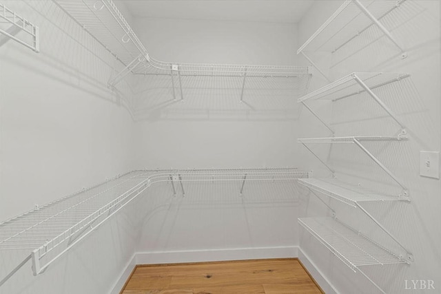 spacious closet featuring light wood finished floors