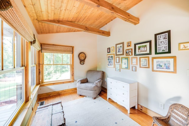1343 Wares Gap Rd, Monroe, VA 24574 - sitting room with wooden ceiling, vaulted ceiling with beams, wood finished floors, baseboards, and visible vents