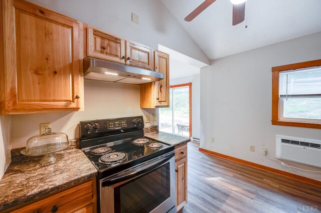 1343 Wares Gap Rd, Monroe, VA 24574 - kitchen with a wall mounted air conditioner, ceiling fan, under cabinet range hood, electric stove, and lofted ceiling